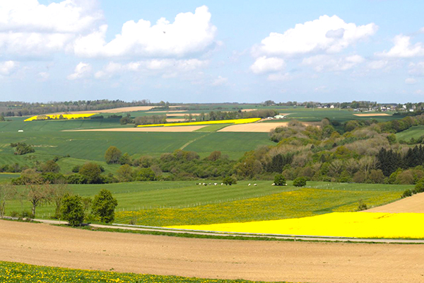 View on the Crupet countryside